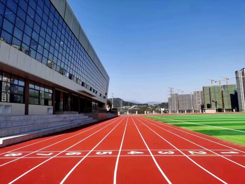 福建龍巖一中全塑自結紋跑道+人造草坪